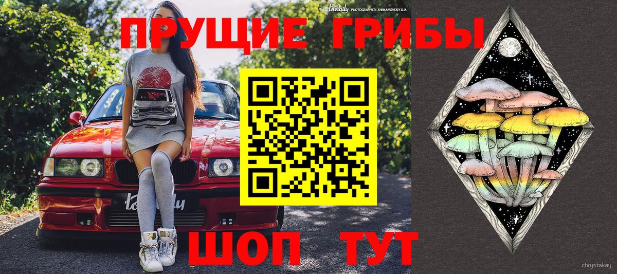 Галлюциногенные грибы мицелий Глазов